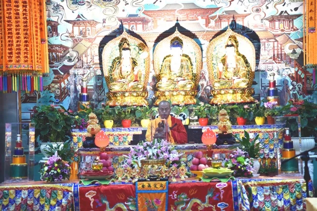 5.webp.jpg 5.webp.jpg