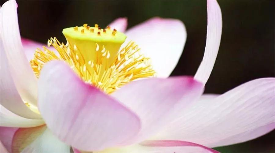 微信图片_20181016223205.jpg 微信图片_20181016223205.jpg