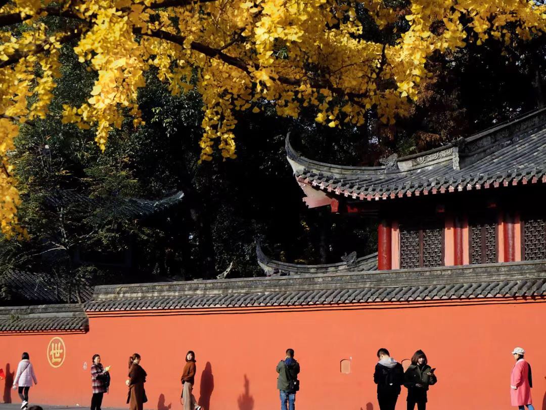 微信图片_20190116234844.jpg 微信图片_20190116234844.jpg