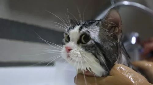 191928.jpg 191928.jpg