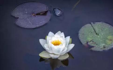 微信图片_20190312234846.jpg 微信图片_20190312234846.jpg