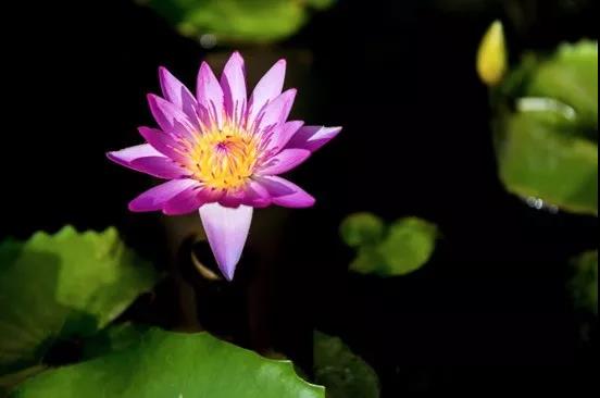 微信图片_20190601212634.jpg 微信图片_20190601212634.jpg