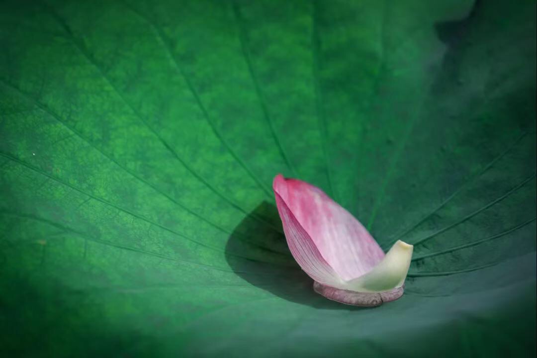 微信图片_20190730212949.jpg 微信图片_20190730212949.jpg