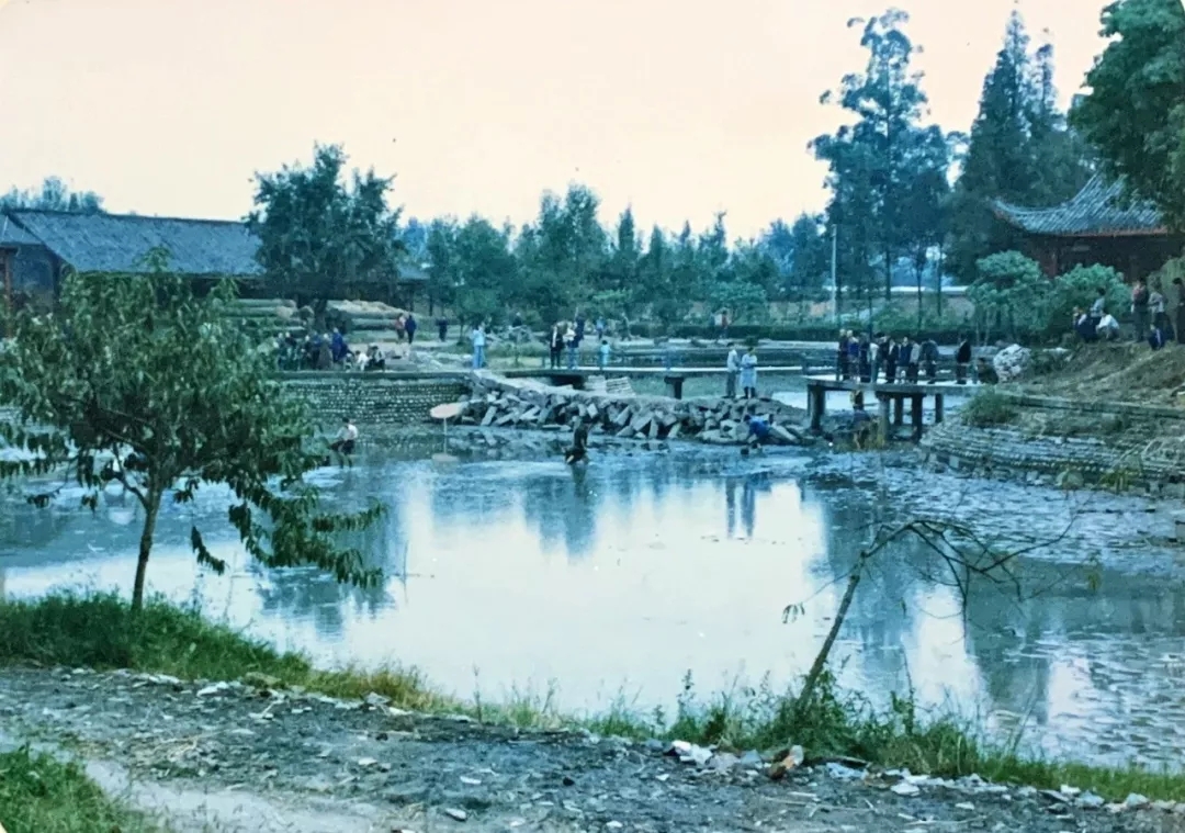 640.webp (1).jpg 640.webp (1).jpg