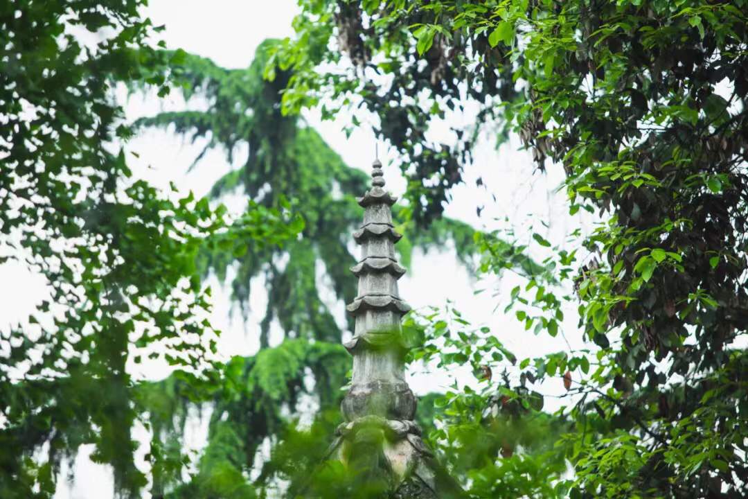 微信图片_20190925215145.jpg 微信图片_20190925215145.jpg