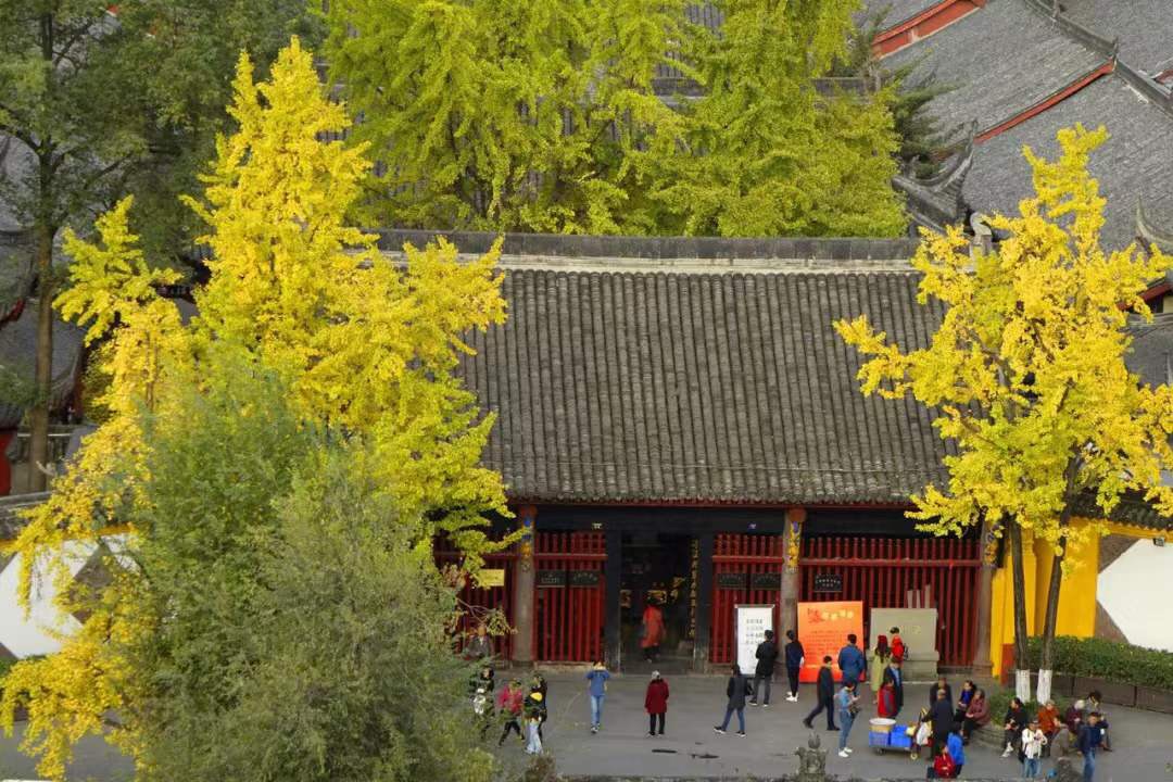 微信图片_20191008064811.jpg 微信图片_20191008064811.jpg