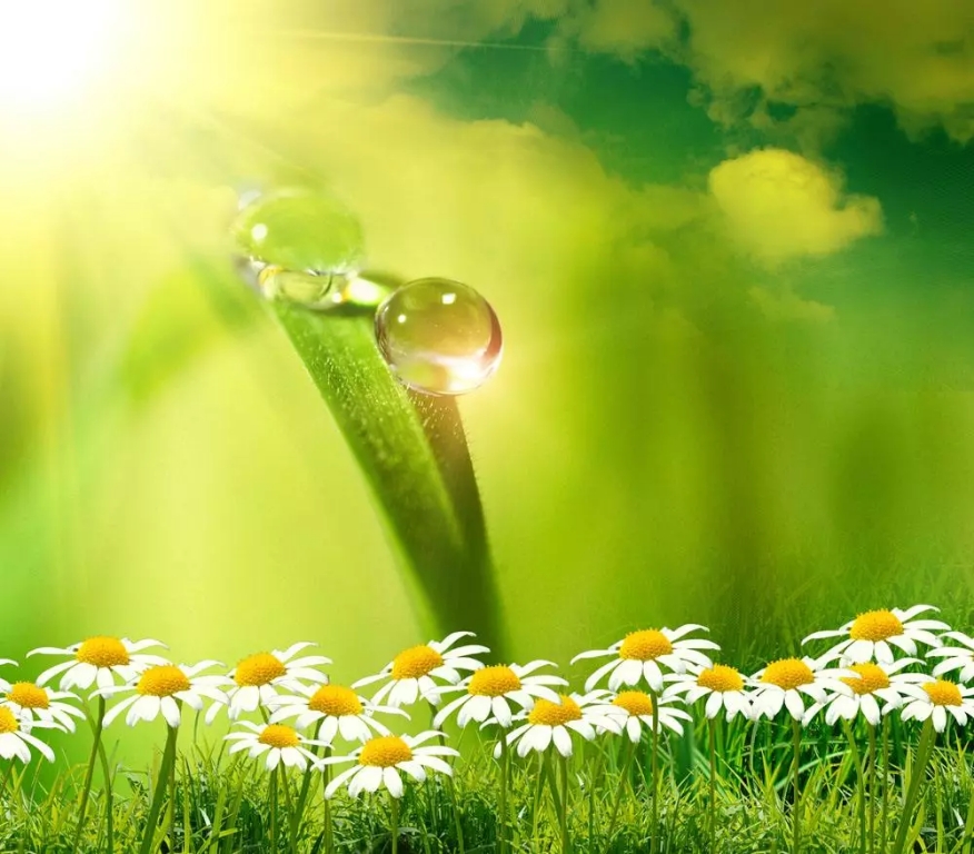 微信图片_20200222170400.jpg 微信图片_20200222170400.jpg