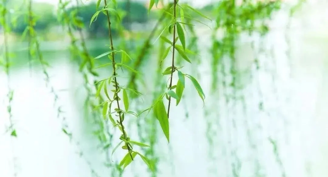 微信图片_20200519232803.jpg 微信图片_20200519232803.jpg