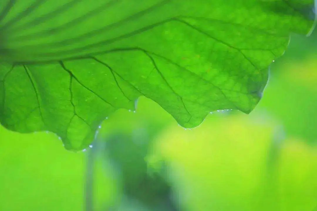 微信图片_20200716211750.jpg 微信图片_20200716211750.jpg